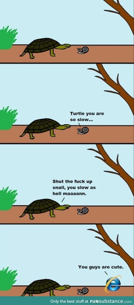 Slowest creatures