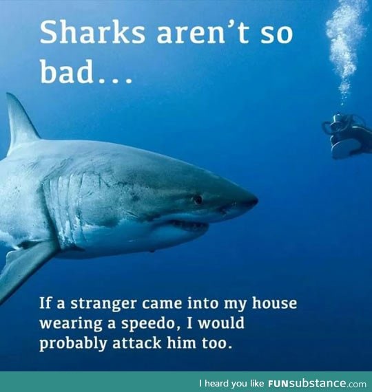 Sharks aren't so bad after all