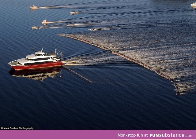 Waterskiing with 144 of your closest friends