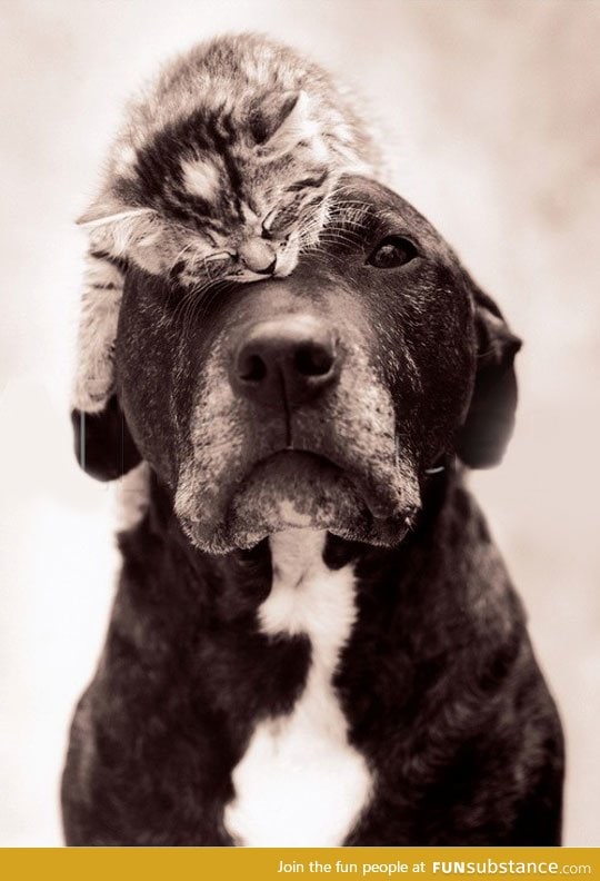 Feeling safe with a big brother