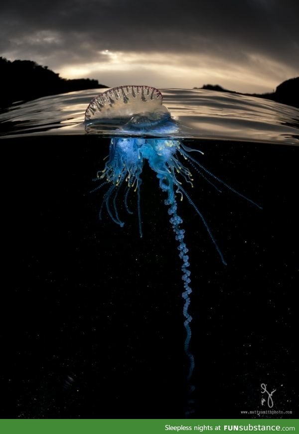 What lies beneath