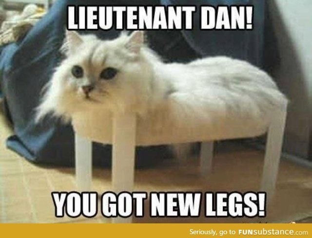 Leuitenant dan