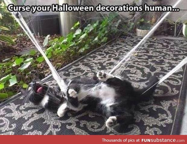 Halloween decorations