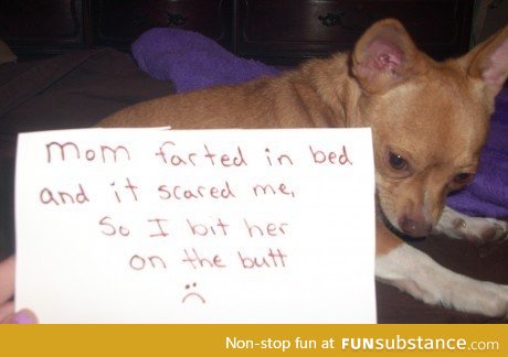 Poor thing thought it was a monster!