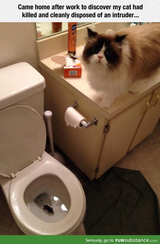 Didn't Even Flush