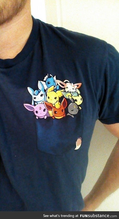 Gentlemen please. This is a real pokemon shirt. All Eevees.