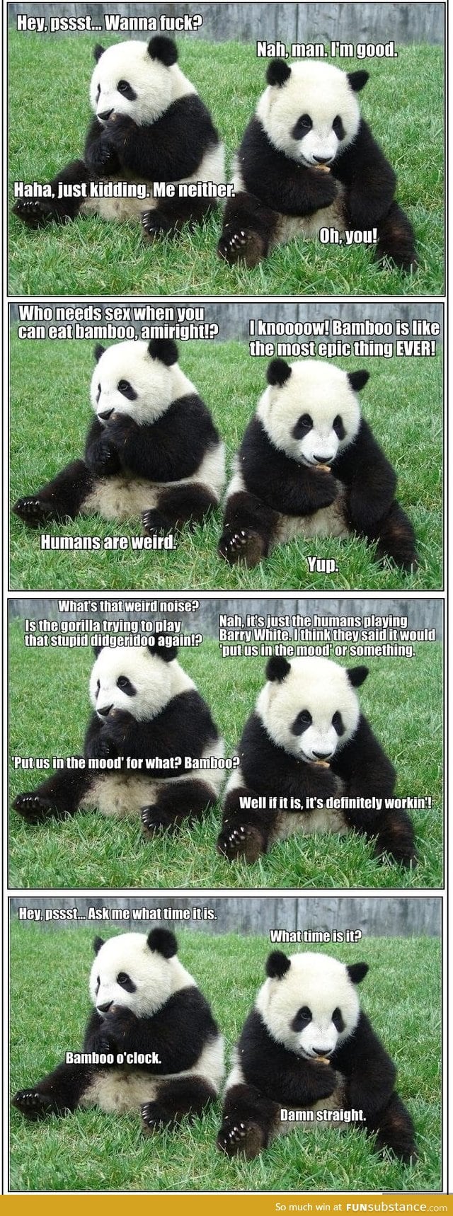 Pandas don't like sex