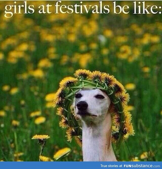 Girls at festivals be like...