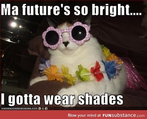 cool cat!