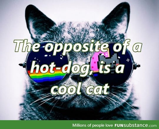 The opposite of hot dog
