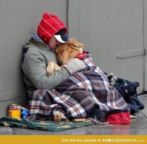 Mans best friend