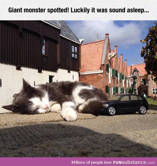 Monsters also take naps