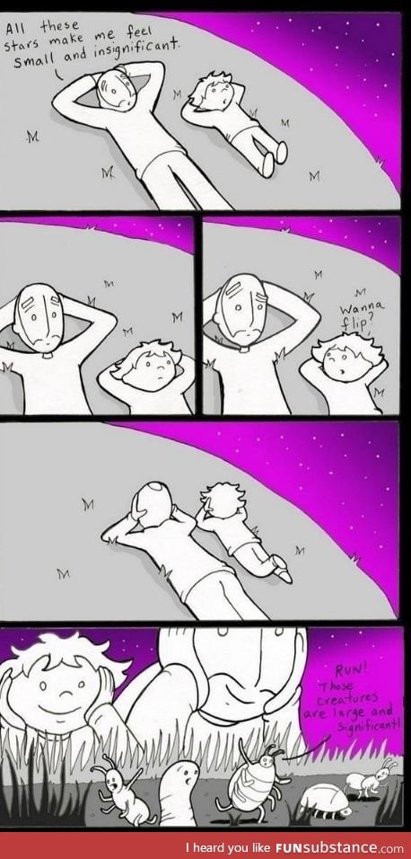 Perspective