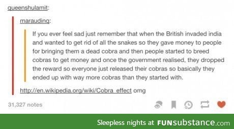 The cobra effect