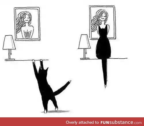 Perspective