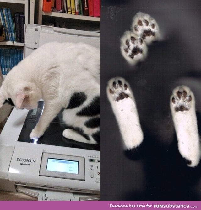 Cat scan