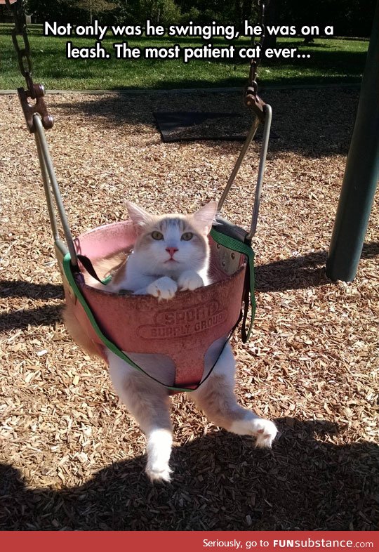 I Thought I've Seen Everything. I Was Wrong