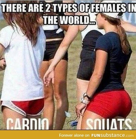 There is a third type of female: Fat girl in Yoga Pants