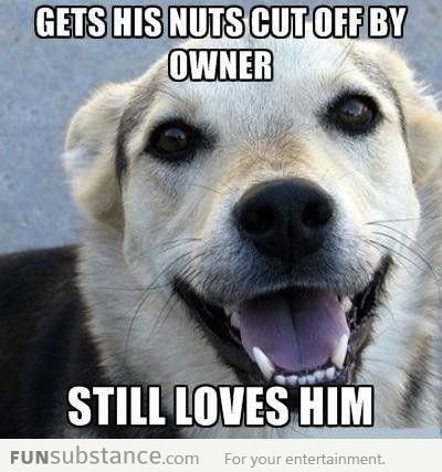 Seriously Your Best Friend