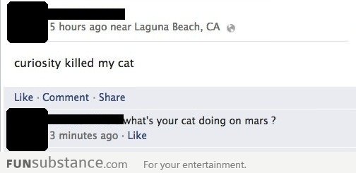 Curiosity killed his cat