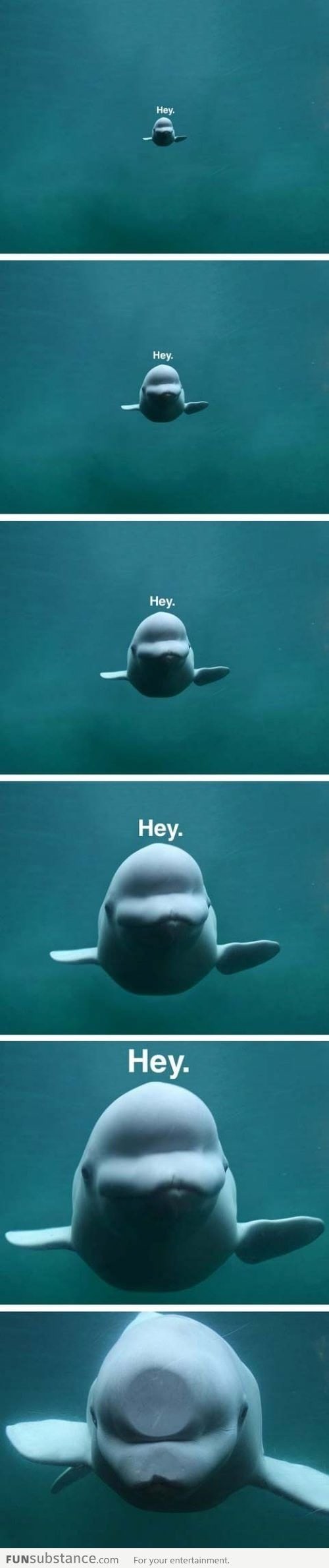 Watch Out!