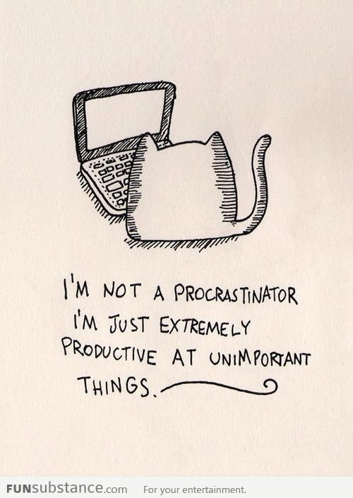 I never actually procrastinate!