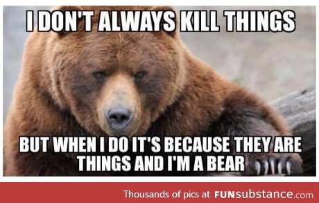 The most interesting bear in the world