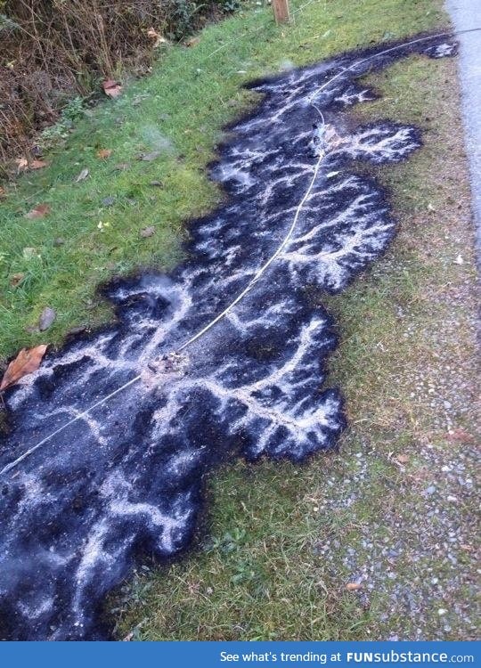 Burned pattern from a downed electrical line