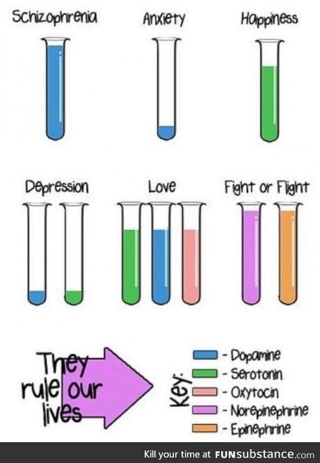 Amazing how only 5 chemicals can control so much of us