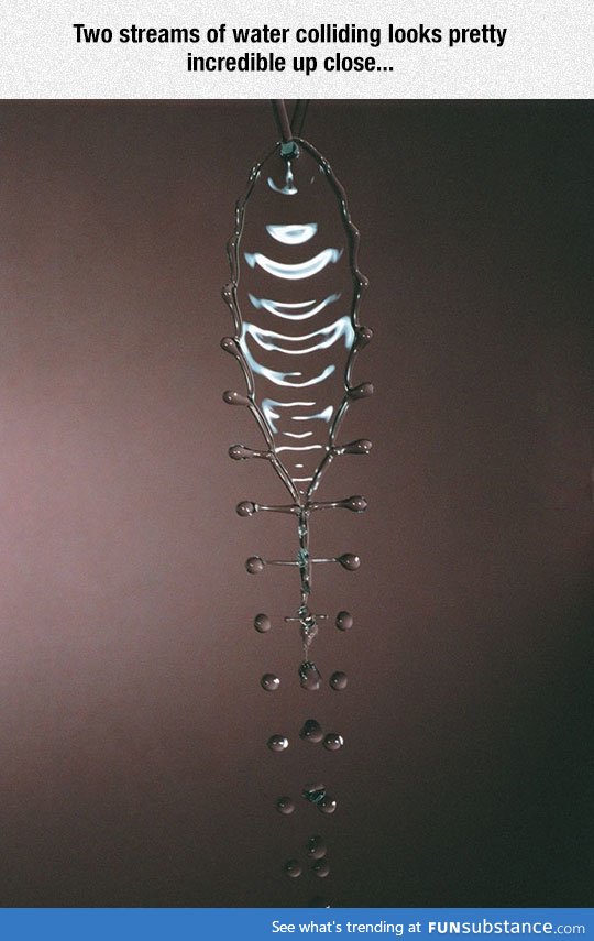 Nature's Shapes Are Beautiful