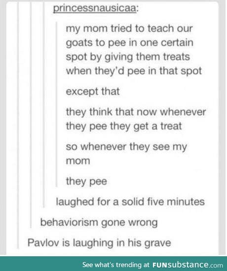Behaviorism gone wrong
