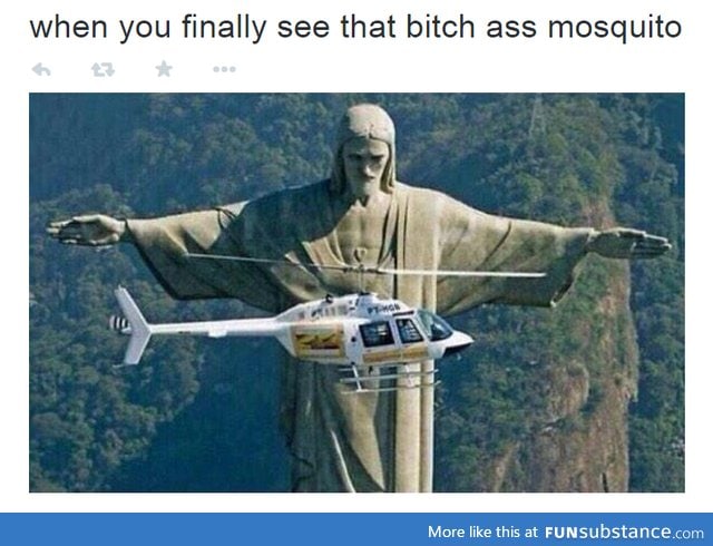 Freakin mosquitos