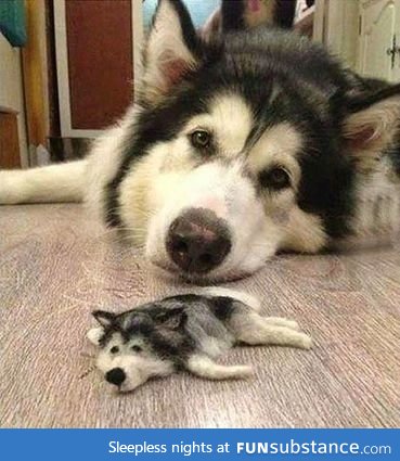 Dog with smaller version of itself made from its own fur