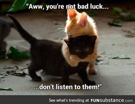 You're not bad luck...