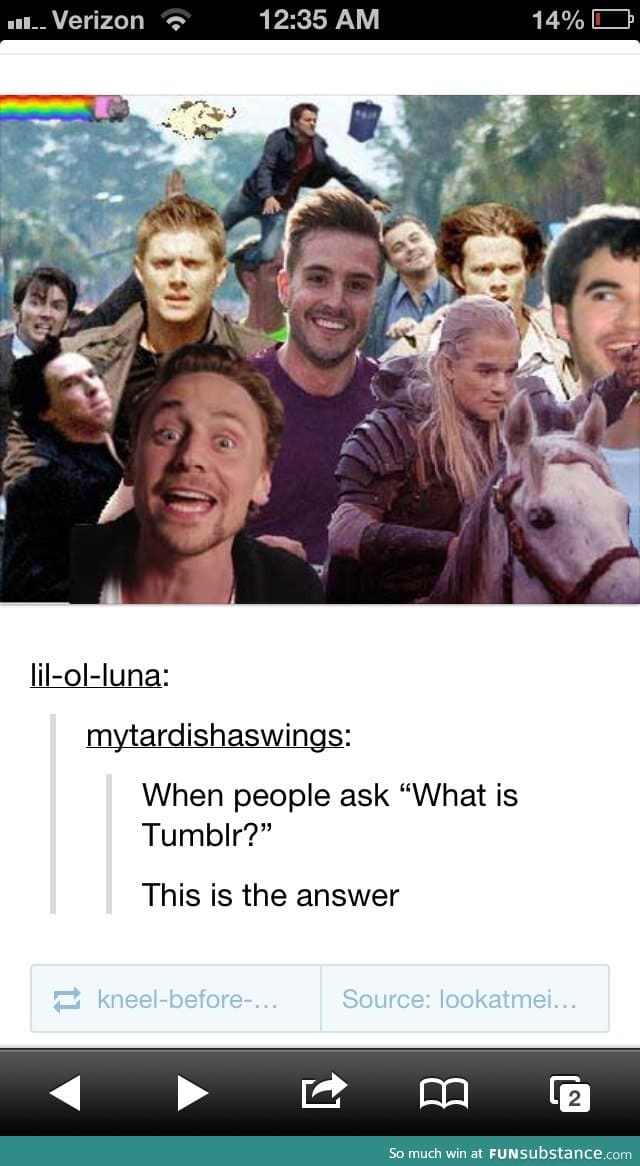 Tumblr, sweet tumblr