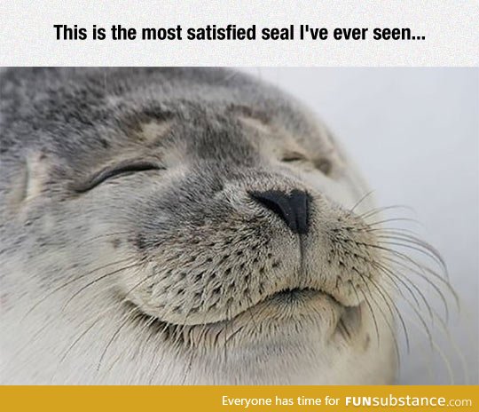 Satisfied seal of approval