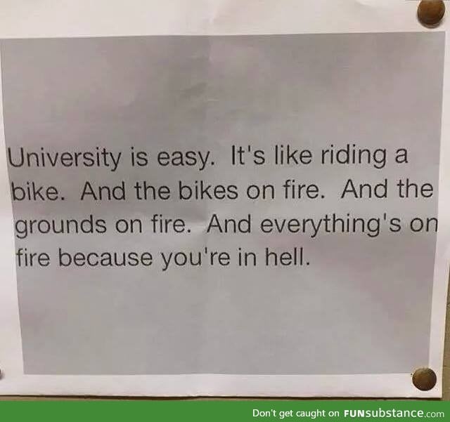 University is easy