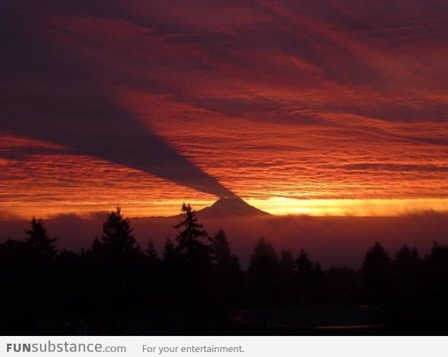 Mother of all shadows