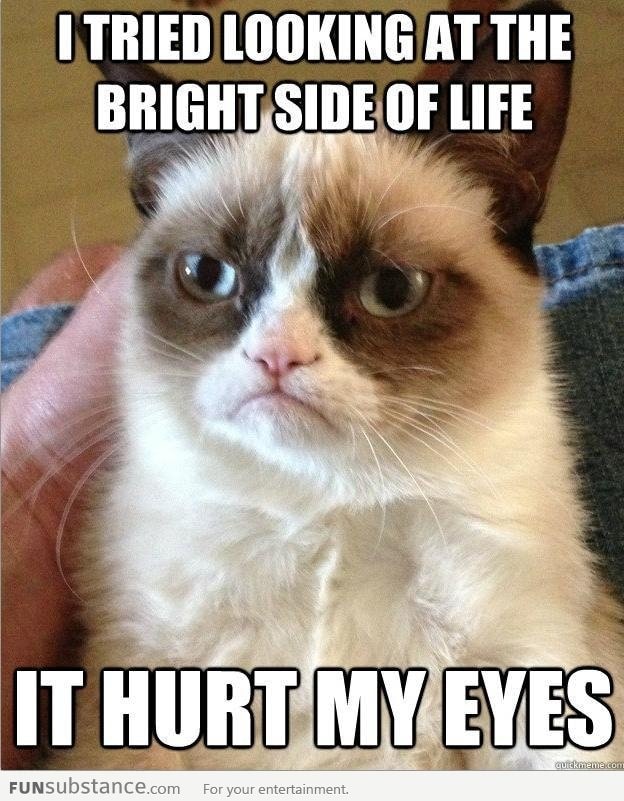 Grumpy Cat strikes again