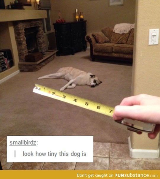 That is really tiny