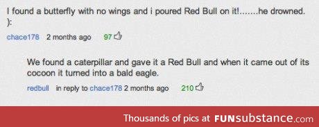 Redbull give you wings