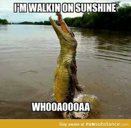 Walking on Sunshine