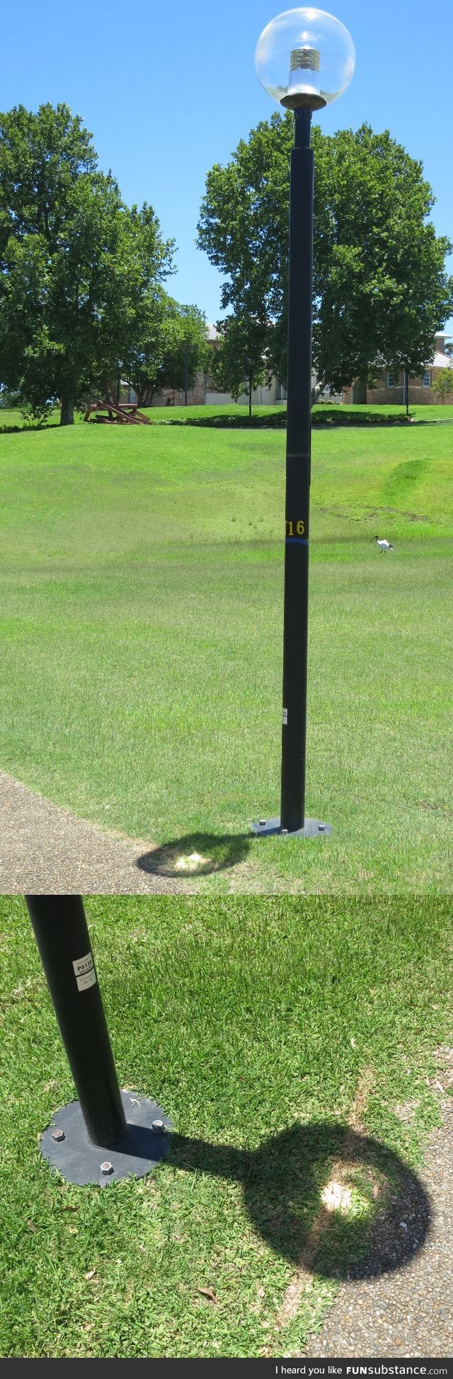 This lamppost focuses the sun and scorches a line in the grass