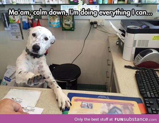 I only have four legs, lady
