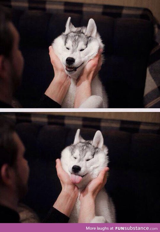 Draw a smile on your husky