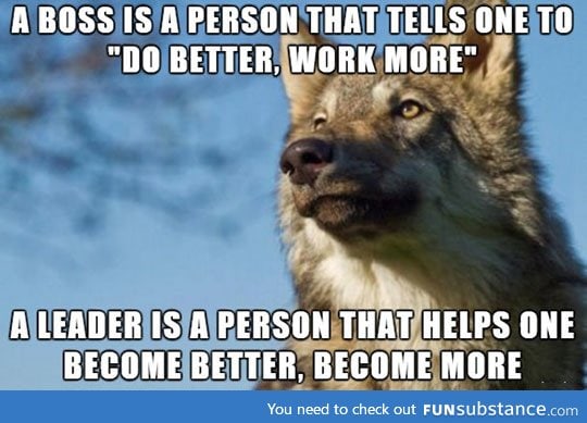 Boss vs. Leader