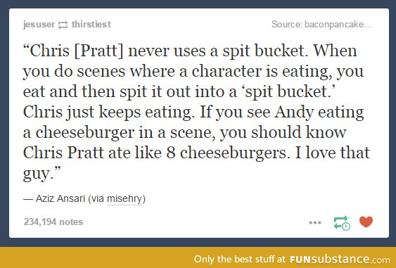 Guardian of the cheeseburgers