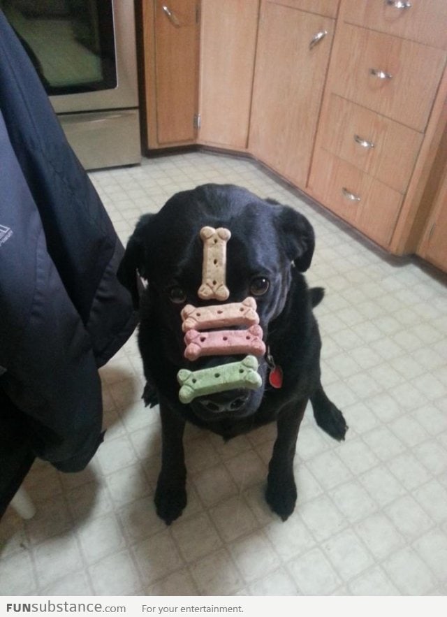 Concentration level maximum