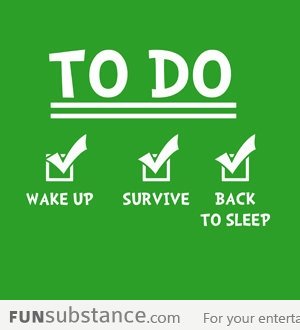 My Daily 'To Do' List