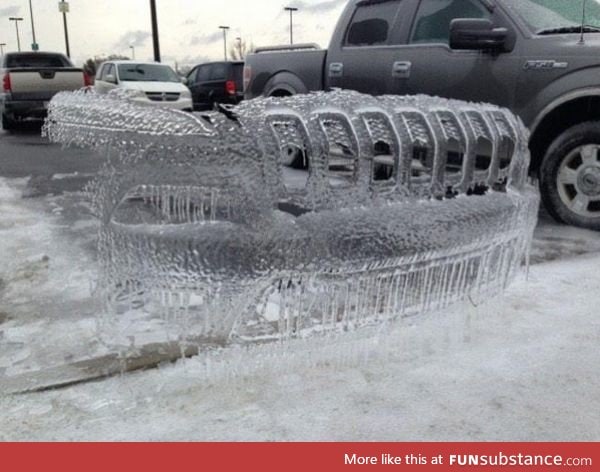 Frozen grill